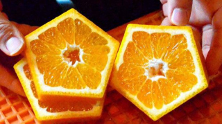 Illustration for article titled Forget Square Watermelons, Japan Now Has Pentagon-Shaped Oranges